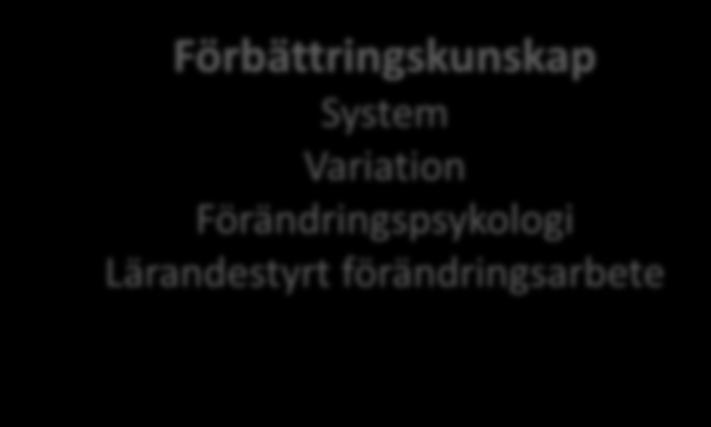 Lärandestyrt förändringsarbete