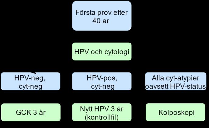 Första