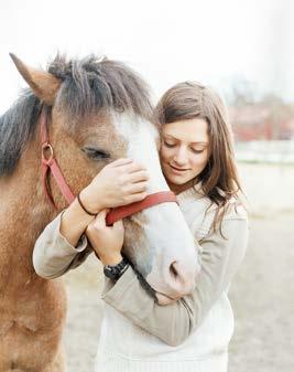 HÄLSOUTREDNING För att försäkra hästen kan det ibland krävas en hälsoutredning som utförts av veterinär.