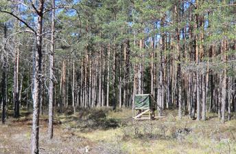 Jakt Tillträdesdag 2014-08-01 eller efter överenskommelse. Inteckningar och belåning Det finns 4 inteckningar uttagna i fastigheten på totalt 40 700 kr.