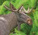 Hv 0525-18380 Kalvö Gästhamn Ka 0525-183 80 Marinvest Fjellbacka F 0738-493249 Resö Gästhamn Re 0727-078554 Sannäs Gästhamn Sa 0525-18380 Sponslätt Gästhamn Sp 0525-18380 Svinäs marin (Bunk)