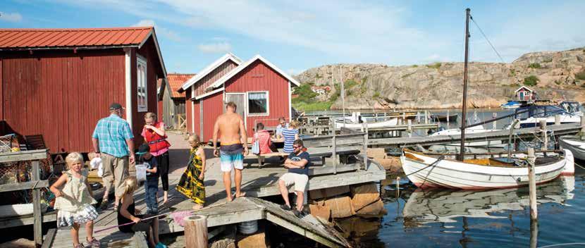 I Tanum skapar vi minnen för livet In Tanum we create memories for life 08 FRÅN SÖTT TILL SALT Möt alla Tanums fantastiska orter 39 PÅ DJUPT VATTEN MED DYK-LEIF Ta dig vatten över huvudet tillsammans