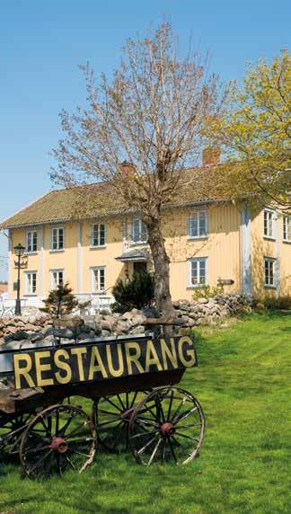 Du kan välja bland Bullaresjöarnas lättpaddlade vatten, kantade av härliga badstränder eller de spännande Kornsjöarna, där vildmarkskaraktären blir än mer påtaglig. Glöm inte fiskespö och kamera!