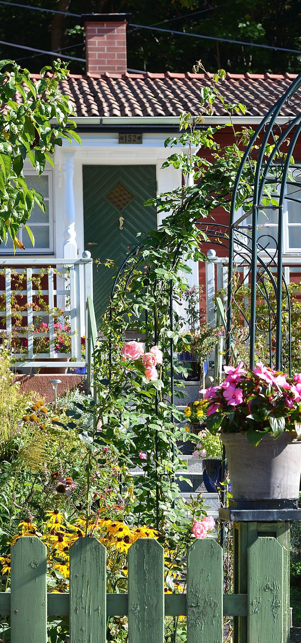 special Tabell 20. Bedömer du att det blivit vanligare på din lokala marknad med småhus/bostadsrätter som säljs innan visningen ägt rum? Länsnivå. Ja, vanligare.