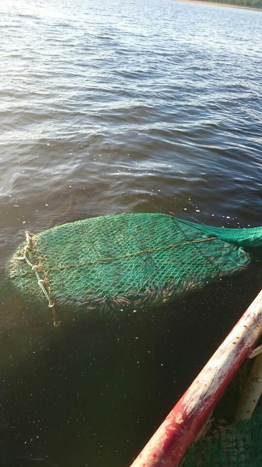 småskaligt fiske. Under 2015 skulle systemet testas efter målarter som sik, abborre, strömming och flundra.