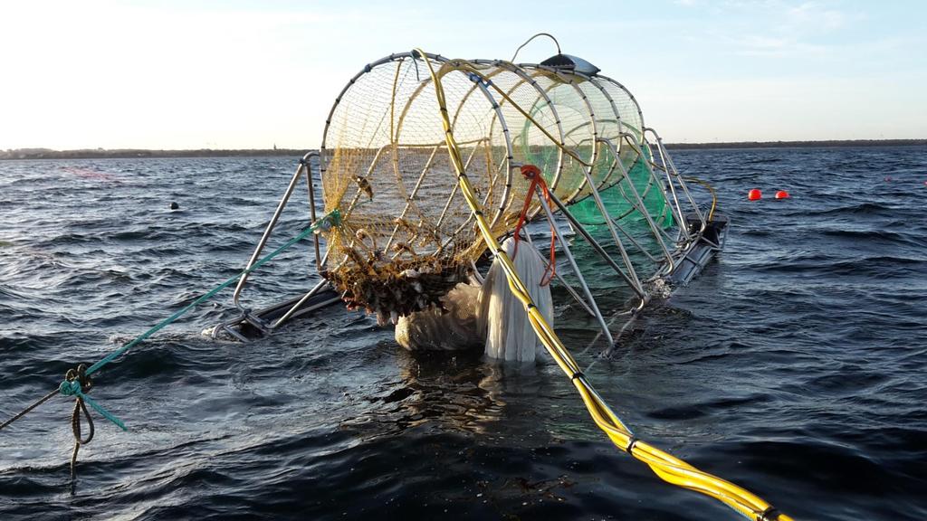 Till Gotland levererades två stycken torskfällor 2015. En av dessa kom aldrig i vattnet på grund av sen leverans. Den andra kom i vattnet före midsommar.