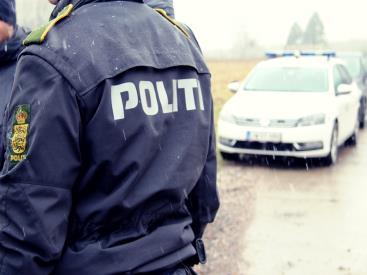 uppdelning av inköp; 12 distrikt, alla med egen service- och leveransmodell (~100 underleverantörer) 2 DEN DANSKA POLISENS