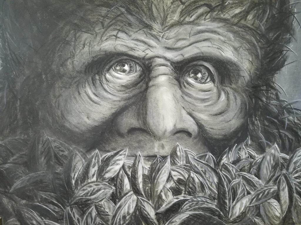 Om du vill tala med en viss nation, såsom Sasquatch till exempel, måste du
