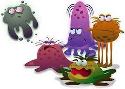 Kunskapsnycklar bakterier och virus Bakterier Escherichia coli (tål uttorkning bra) Kan utveckla ESBL Klebsiella pneumonia (uthållig bakterie som tål uttorkning bra) Kan utveckla ESBL Pseudomonas