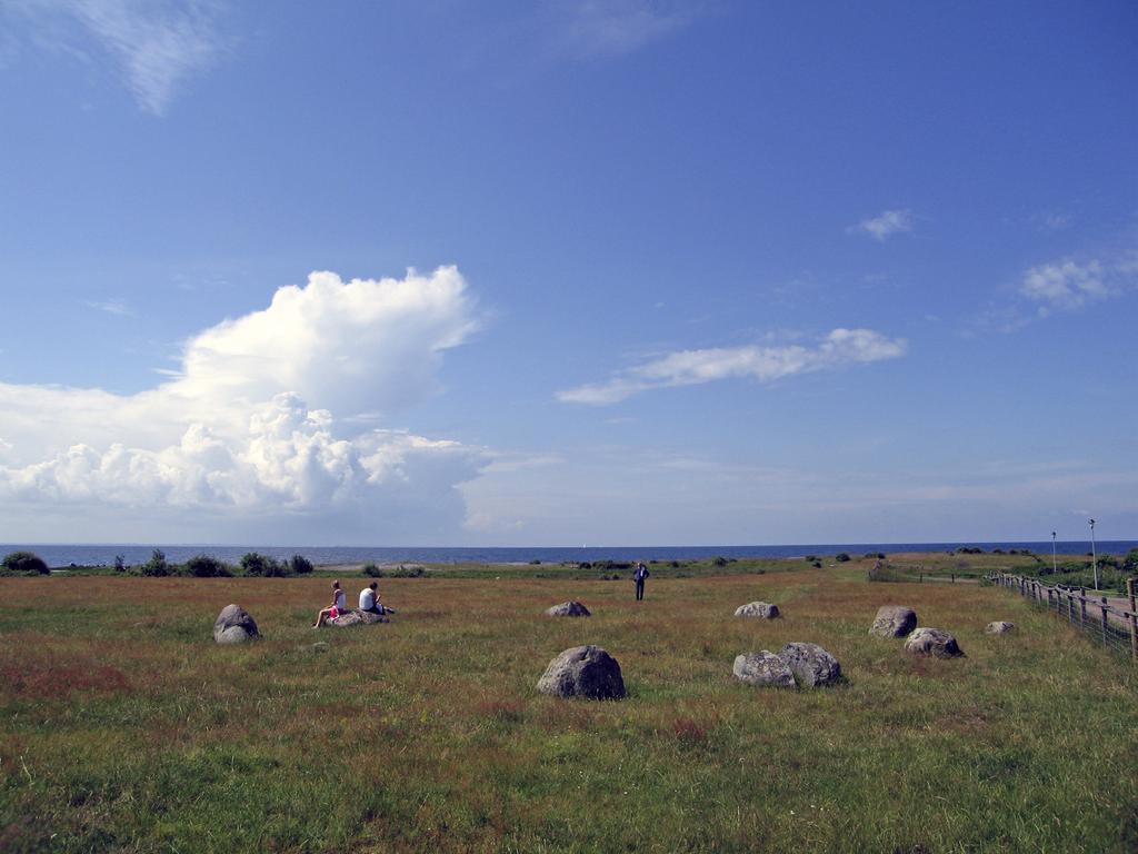 samma ojämlikhet som idag Figur 4. Domarring vid Lerhamn. Foto: Kristina Jennbert 2008.