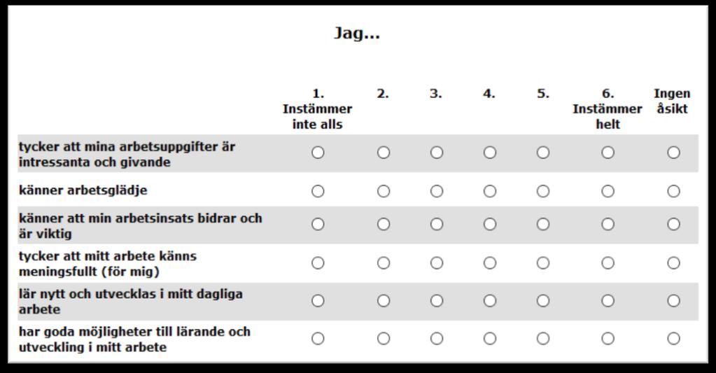 MEDARBETARINDEX VAD ÄR DET? Medar