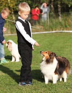 Domaren fingranskar också hunden, känner igenom hundkroppen med sina händer och tittar närmare på hundens tänder och bett.