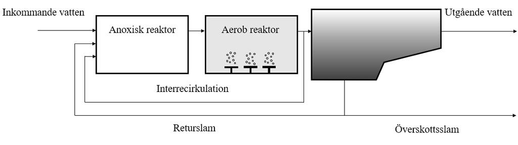 kväverening kräver till skillnad mot en aktivslamprocess för rening av enbart organiskt material att det förekommer både aeroba och anoxiska förhållanden i olika delar av bioreaktorn.