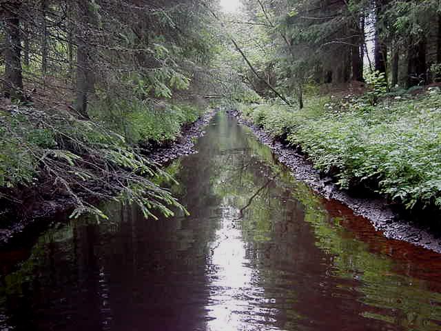 Opåverkad vattenfåra i urvatten Bäckar, åar och älvar tar sig fram på olika sätt i landskapet. Små bäckar snirklar sig fram i skogen, åar meandrar medan älvar har ett mer rakt lopp.