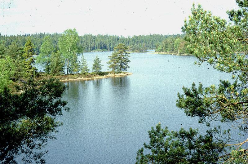 Mätning av ph och färg i Varzuga, Kola, Ryssland. Bilden till höger: Lilla Öresjön, Västergötland, är en av de tusentals sjöar som försurats av luftföroreningar.