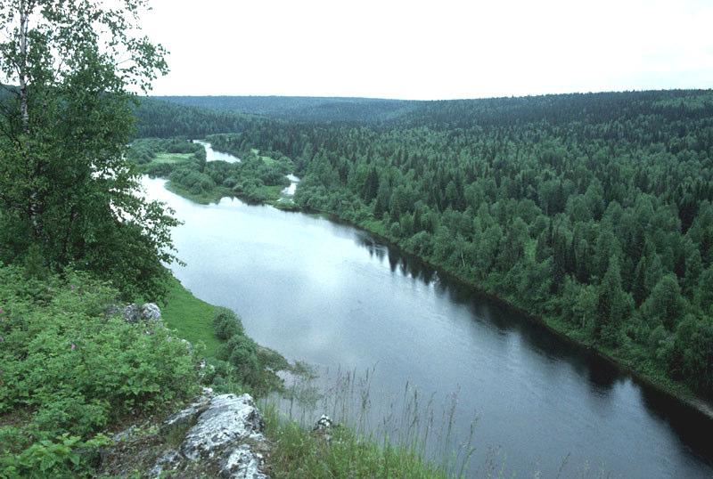 Notera den stora mängden död ved. Biflöde till Unja, Komi, Ryssland.