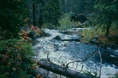 Västerbäcken i Vilhelmina, Västerbotten, ligger i en skog som aldrig brukats förmodligen är detta ett urvatten. De svenska urvattendragen finner man i opåverkade eller obetydligt påverkade landskap.