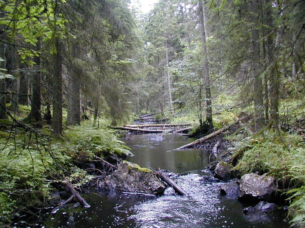 Naturvatten kan finnas över stora delar av Sverige. Exempelvis finns i ett område i Medelpad med flera vattendrag som har livskraftiga bestånd av flodpärlmussla (Söderberg 1995). Dessa är naturvatten.