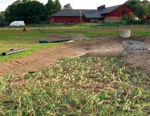 åkermarken och de är dessutom bra för den biologiska mångfalden Svenska lantbrukare har anlagt cirka 3 000 stycken våtmarker Fler våtmarker och fosfordammar behövs och det går att få EU-stöd för det.