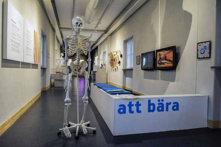 BOKA VISNING PÅ ETT MEDICINHISTORISKT MUSEUM Livets museum Livets museum är ett medicinhistoriskt museum i Lund.