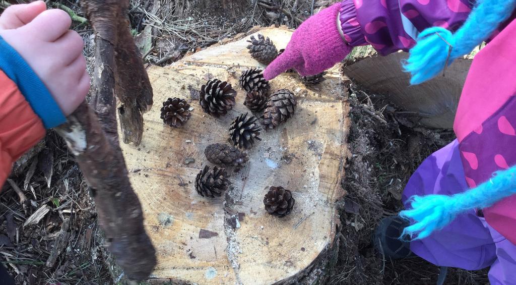 Välkommen till Kiaby förskola. Kiaby är en liten by nära natursköna områden som Kjugekull och Oppmannasjön och med lantbruk och skog som närmsta grannar.