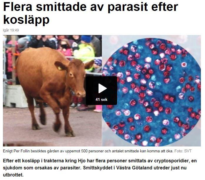 2016-09-23 Utbrott på förskola vem gör vad? Cryptosporidie-infektion Utbrottshantering Vem ska förskolan fråga vid smitta eller utbrott?