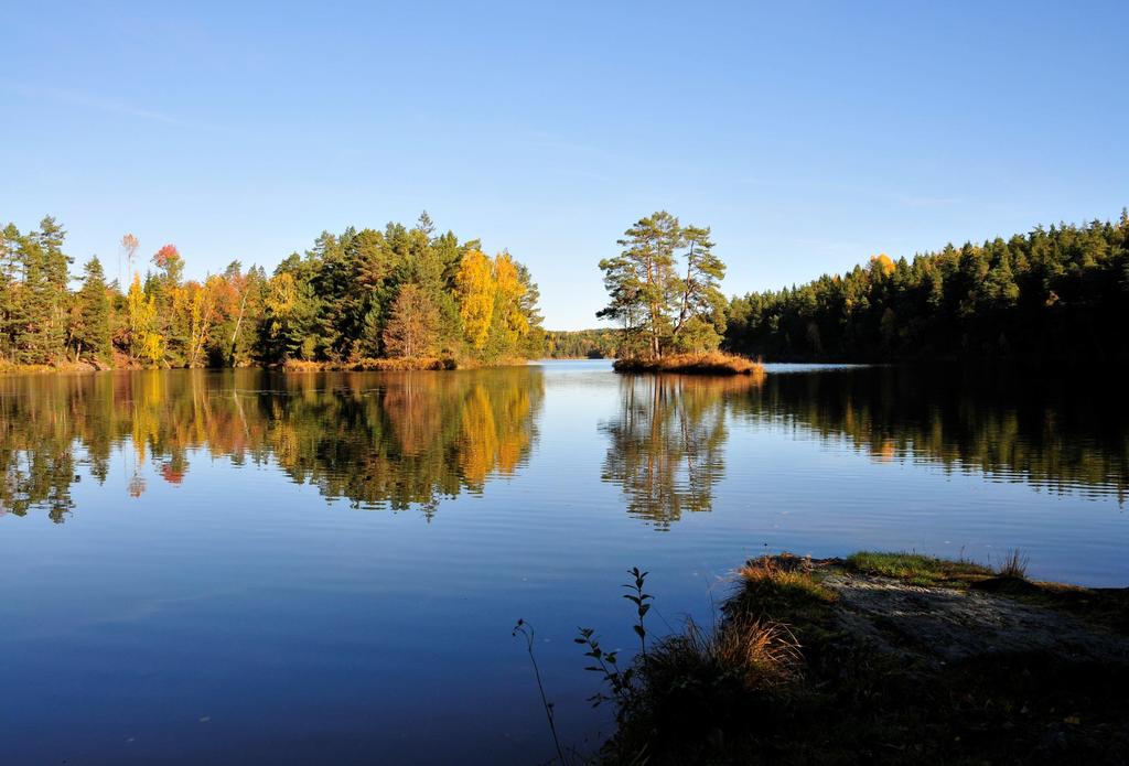 johansson@vastsverige.