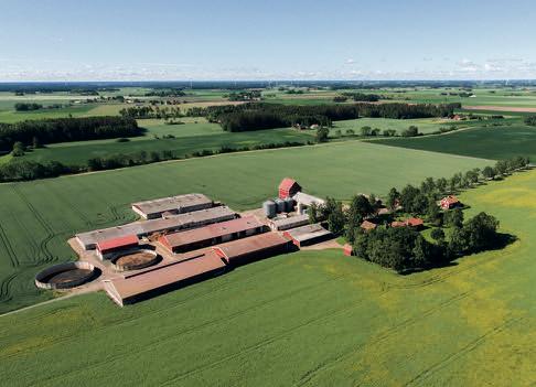 Det är fler gårdar som levererar Gårdsmärkt Rapsgris Vi har totalt tio gårdar i Sverige som levererar