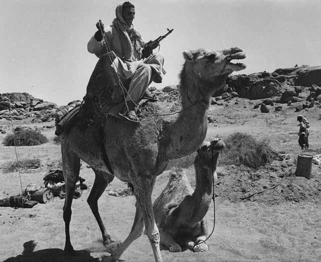 Då besökte han först den ockuperade delen av Västsahara som officiellt accrediterad journalist, därefter Mauretanien och sedan flyktinglägren igen. De resorna varade i sex veckor.