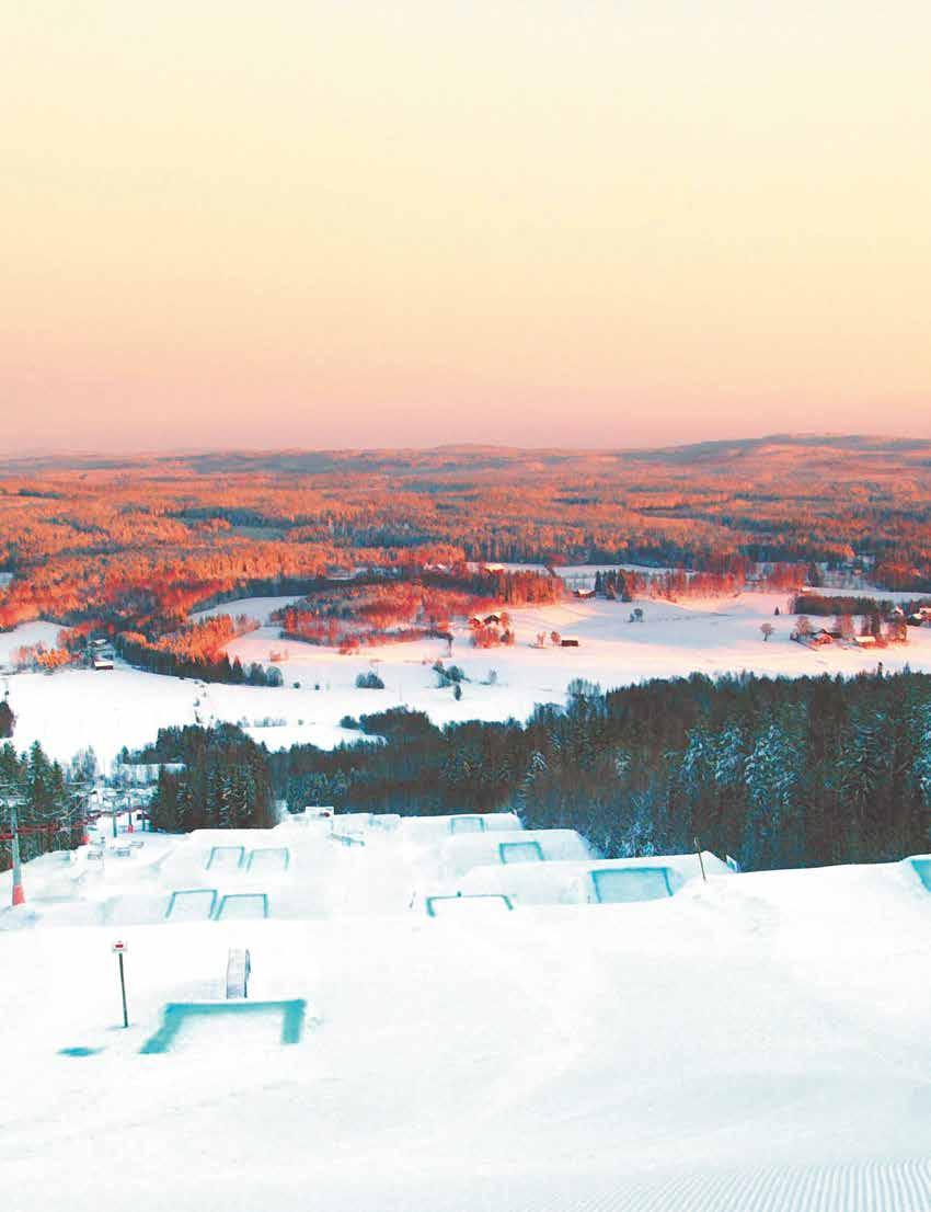 Utsikt från Kungsberget.