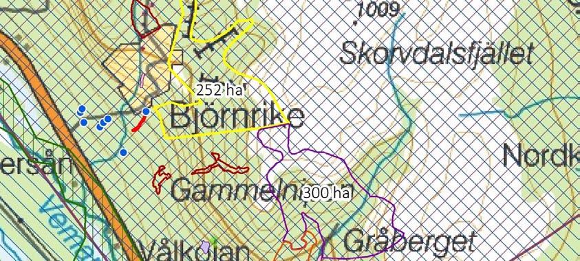 Huvudalternativ Skorvdalen Huvudalternativet är lokaliserat i Skorvdalen, öster om Vemdalen och Björnrike, i Härjedalen kommun. Området rymmer ca 100 ha skidyta samt 84 ha bebyggelse.