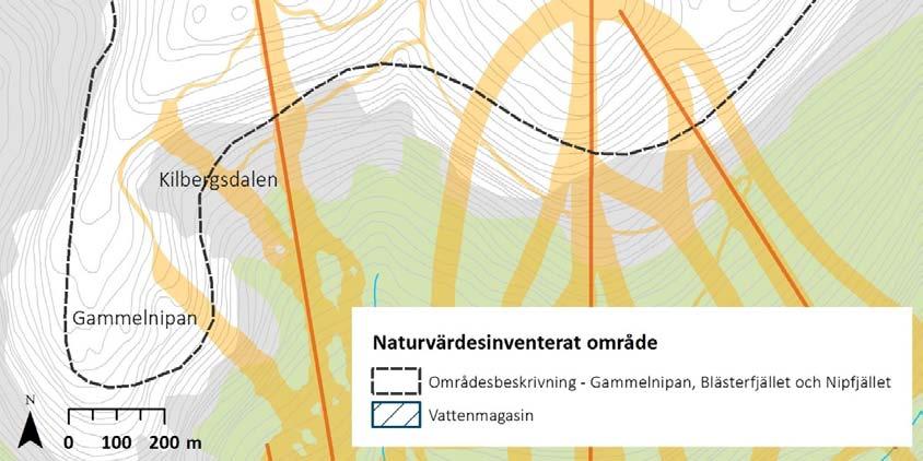 Gammelnipan Blästerfjället Nipfjället De tre höjderna hör till Skorvdalsfjällen och är lågfjäll med endast lågalpin region (figur 17).