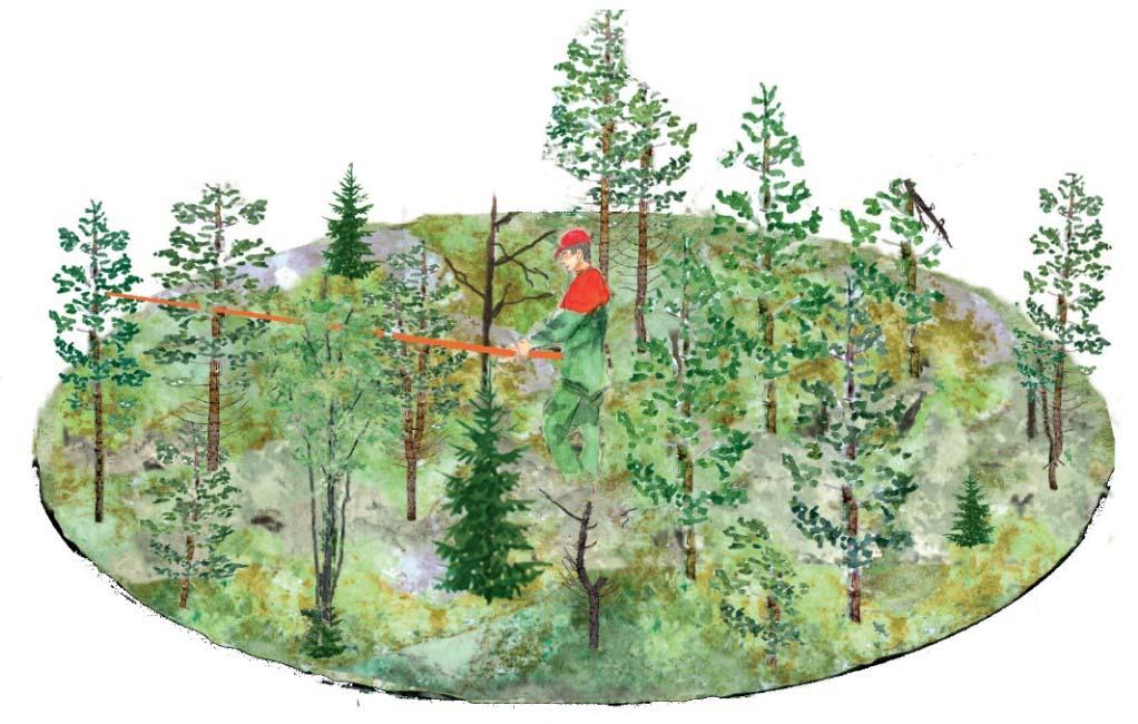 I lövbestånd (mer än 7/10 lövträd) väljs lövstammar före barr. Räkna sedan ut medelhöjden av dessa och dela med två (alternativt summerar man höjderna och dividerar med fyra, (T1+T2)/4).