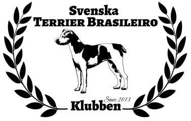 STADGAR FÖR SVENSKA TERRIER BRASILEIROKLUBBEN Inledning Rasklubben Svenska Terrier Brasileiroklubben ingår som medlemsorganisation i specialklubben Svenska Terrierklubben.