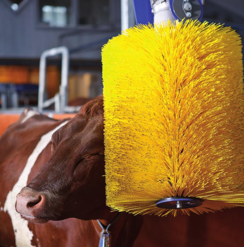 DeLaval frihängande ryktborste SCB Borgar för bättre kokomfort 3:42 DeLaval frihängande ryktborste SCB360 är en utav produkterna inom DeLavals miljöprogram