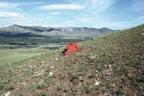 Cecilia Edefalk Mountain s Mouth, 2004, Red Mountain, Unduur-Ulaan. I bakgrunden Djingis khans berg, Mongoliet. Målad sten med rött pigment från gruvor i Red Mountain.