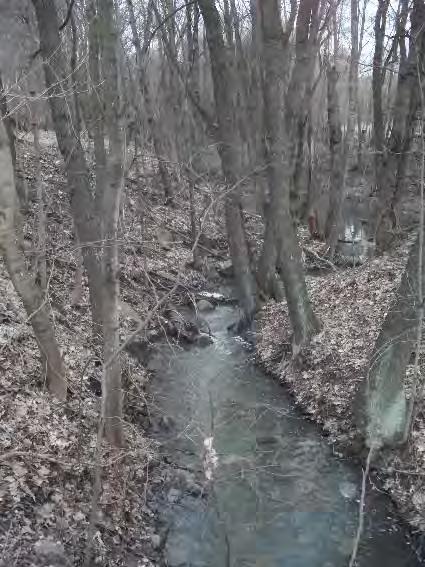 Inför byggnation kommer dispens att sökas för arbete inom Igelbäckens naturreservat.