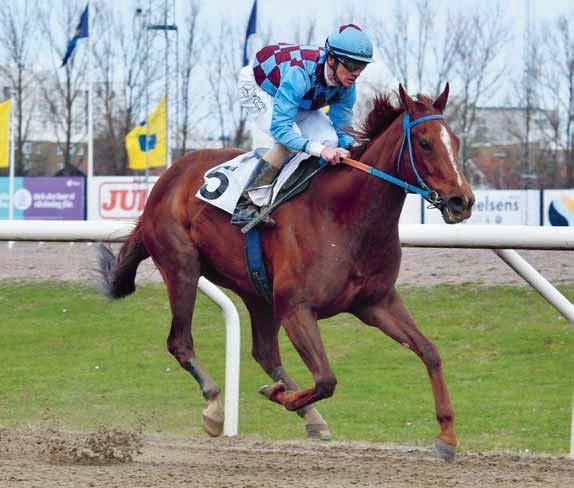 DERBYBANAN JÄGERSRO NR 17 ONSDAG 5 SEPTEMBER 2018 KL 12.20 JÄGERSRO GALOPP Mrs Loreen - vi bugar och bockar!