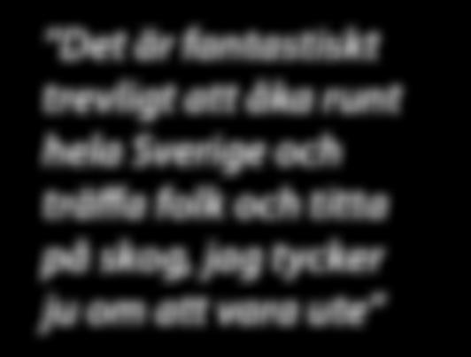 De tipsar också skogsägarna om att lägga sitt timmer på en plats där det kan ligga så länge som möjligt och att lägga det på underlag, gärna så skuggigt som möjligt.