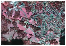 Ortofoto) 0,5-2m LIDAR Sentinel