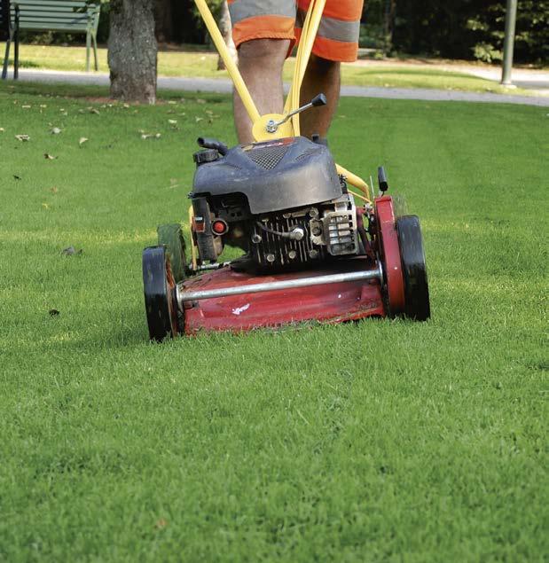 Gräsklippningen är det skötselmoment som tar mest tid och som påverkar gräsmattan mest. Foto: MT Klippning Klippningen är det skötselmoment som påverkar gräsmattan mest och som kräver mest tid.