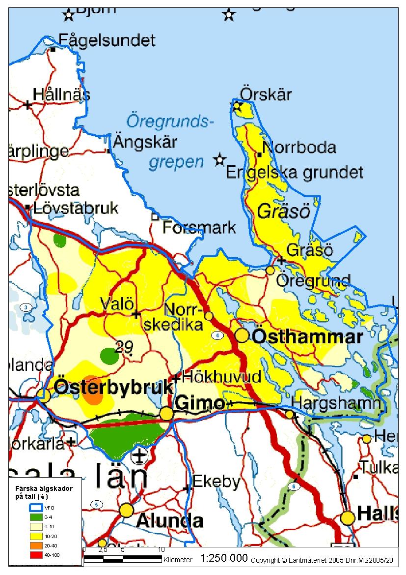 Bil. 4 Östhammar vfo (område 4), betestrycksinventering 2010 Genomsnittlig andel färska skador för Östhammar vfo: 10,5 % Ovanstående karta visar grovt hur