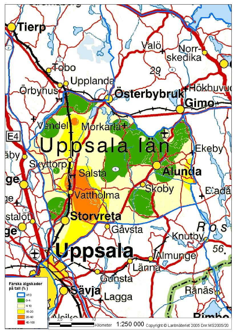 Bil. 5 Vattholma vfo (område 5), betestrycksinventering 2010 Genomsnittlig andel färska skador för Vattholma vfo: 5,5 % Ovanstående karta visar grovt hur