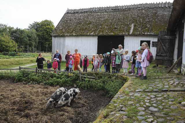 VISNINGAR TEMA DJUR OCH NATUR PÅ ÖSTARP Följ med gårdsbrukaren Emma Johansson på en rundvandring bland ängar och betesmarker.