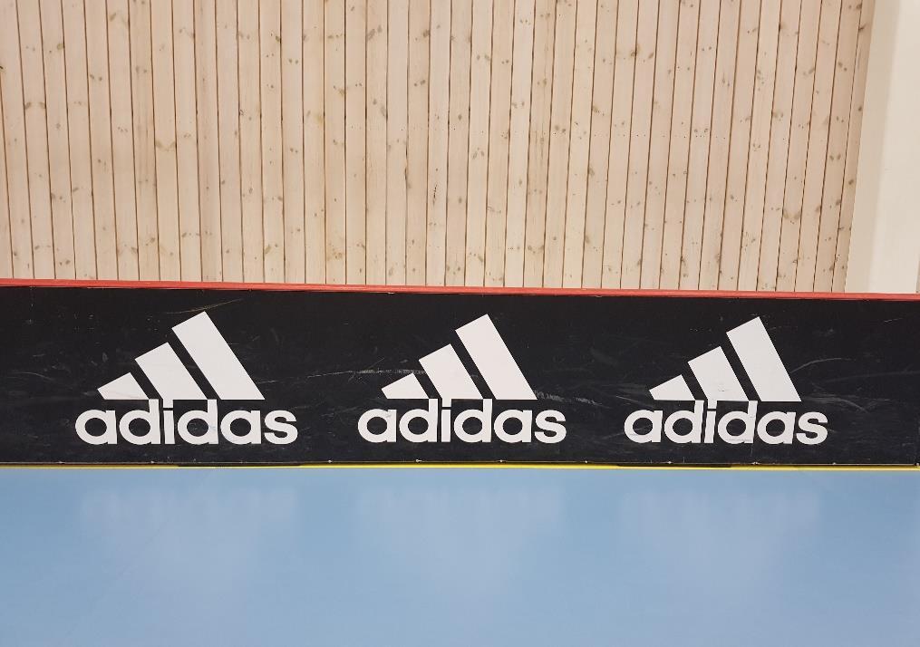 Sargsponsor Reklamplats på sargen, kortsidan, eller långsida mot publiken (baksida sarg) i Hammarö Arena. Företagets logotype syns på hemsidan under hela säsongen.