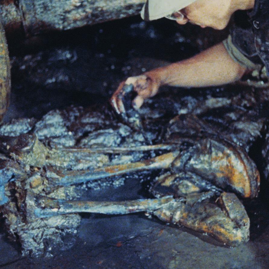 Arkeolog under utgrävning på Vasa 1961 av skelettet Helge som hittades fastklämt under en kanonlavett. Foto: Arkiv, SMM.
