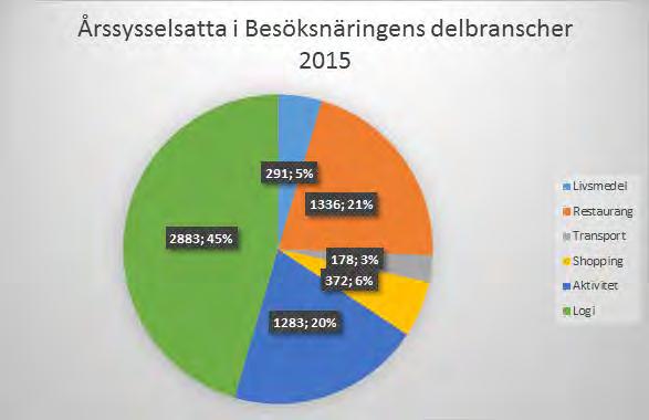 16 Näringen omfattar dels besöksanledningarna som tex skidanläggningar, idrottsevenemang, events och naturupplevelser av många olika slag.