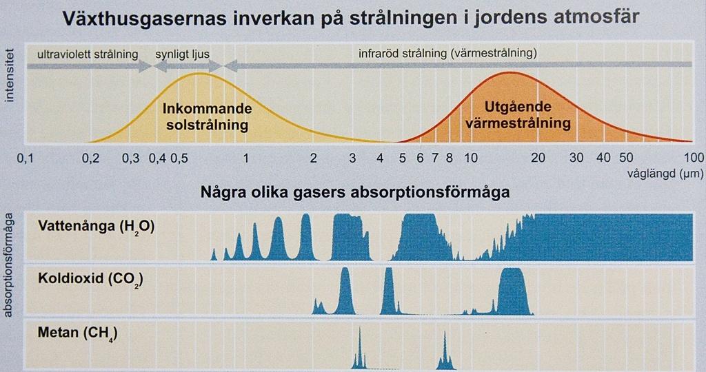 Växthusgaserna fångar upp värmestrålning och skickar