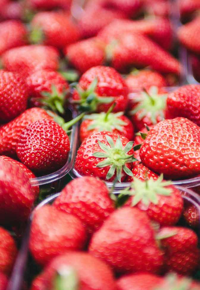 Målet är att upptinade jordgubbar ska se ut som nyplockade, smaka som nyplockade och