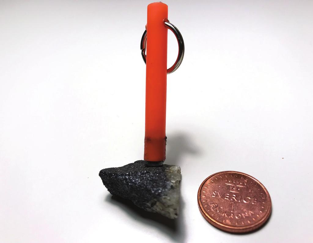 Figur 3. Bilden visar en bit apatitjärnmalm från Lekomberg i Bergslagen. Järnmalmer består ofta av mineralet magnetit som är magnetiskt och som är lätt att identifiera med en magnet.